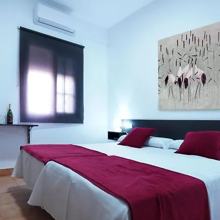 Guest house Rte. Casa Miguel *